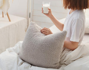 Plush Pillow Cover