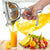 Fruit Juice Squeezer