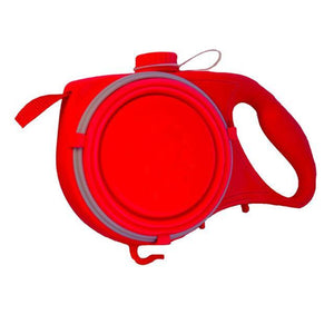 All-In-One Leash