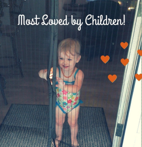 MAGIC MAGNETIC MESH SCREEN DOOR