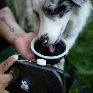 All-In-One Leash