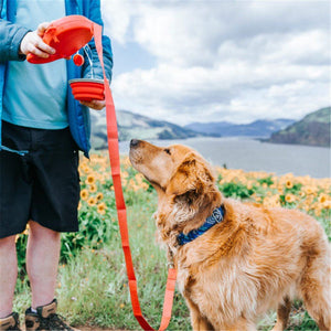 All-In-One Leash