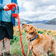 All-In-One Leash